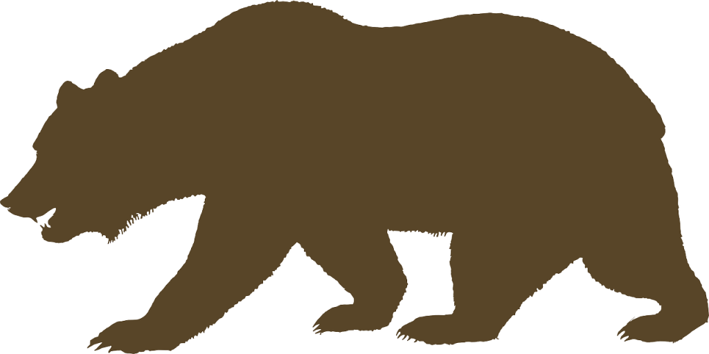 bear, animal, brown