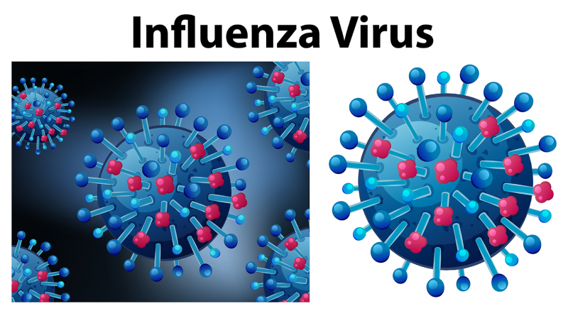 Influenza